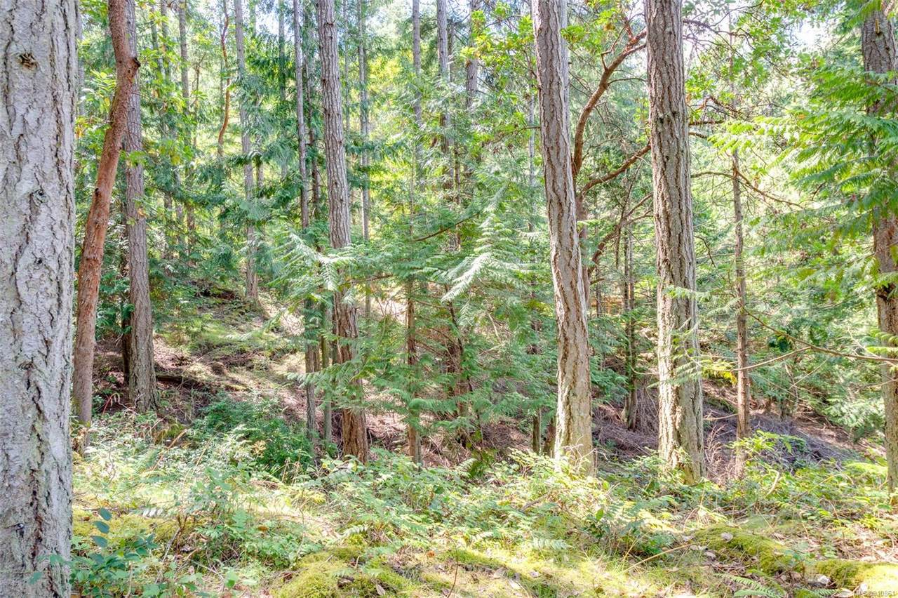 589 Waugh Rd - Photo 1