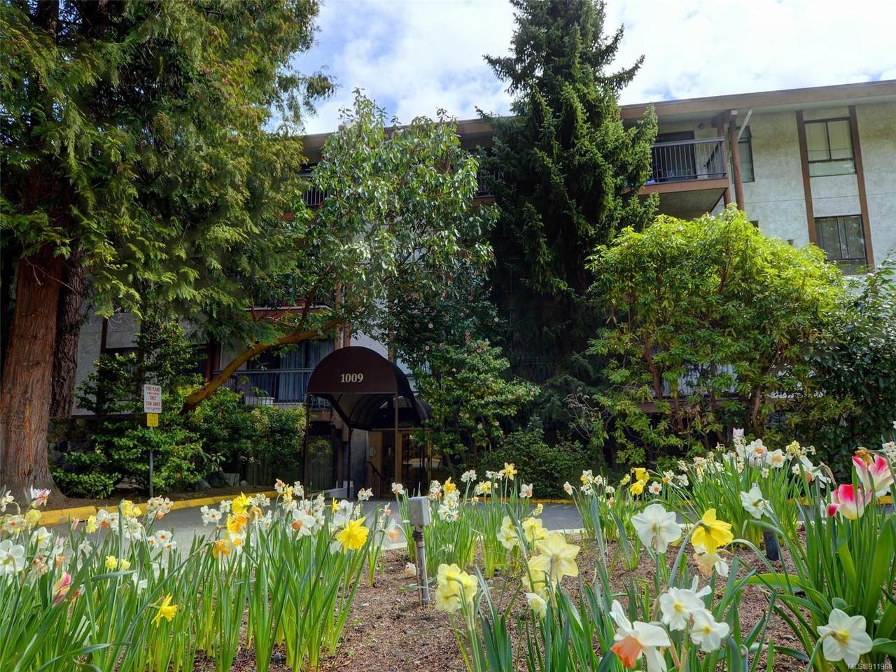 1009 Mckenzie Ave - Photo 1