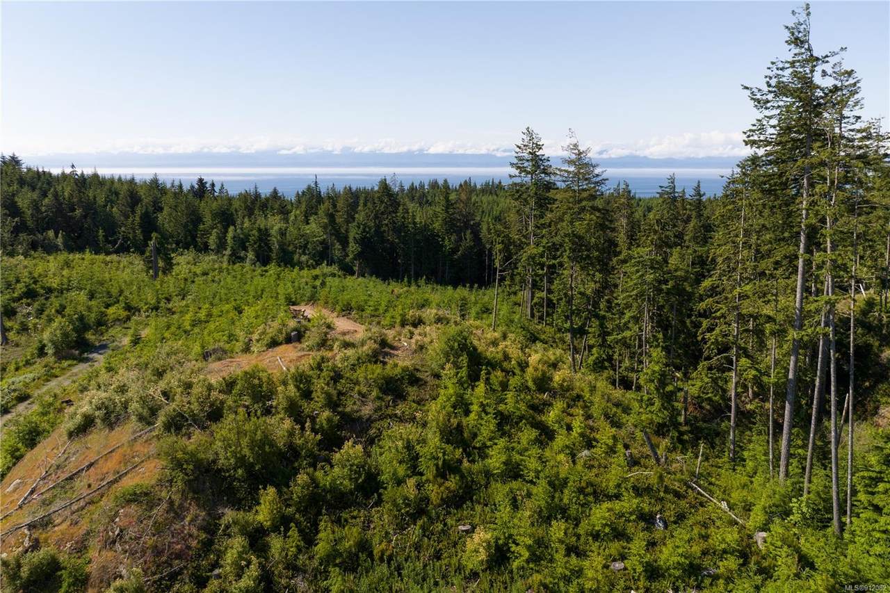 Strata Lot 9 West Coast Rd - Photo 1