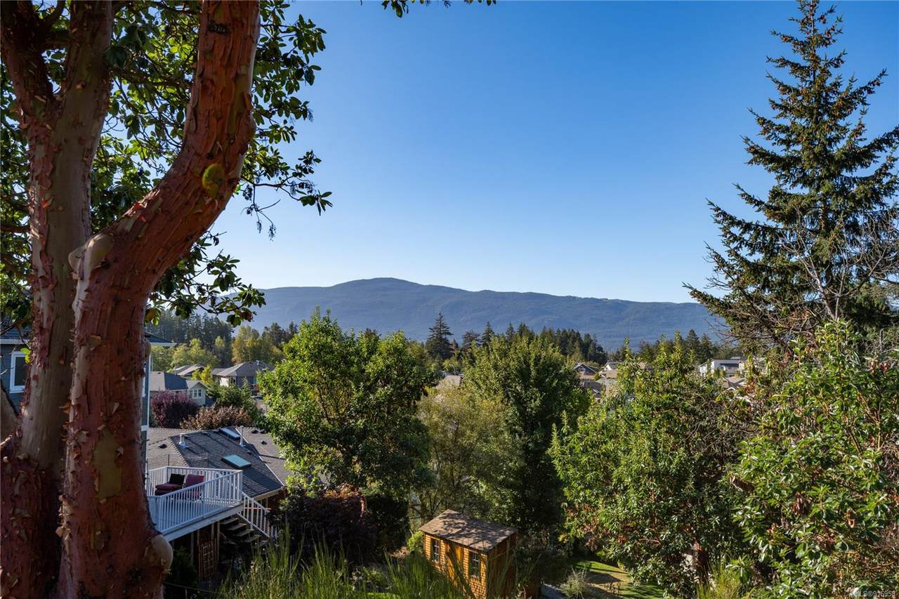 5524 Cliffside Rd - Photo 1