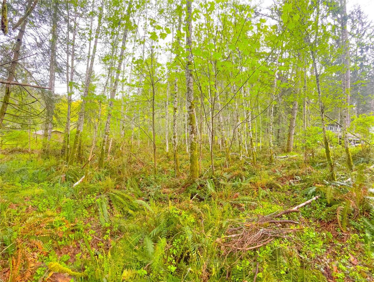 Lot 1 Porlier Pass Rd - Photo 1