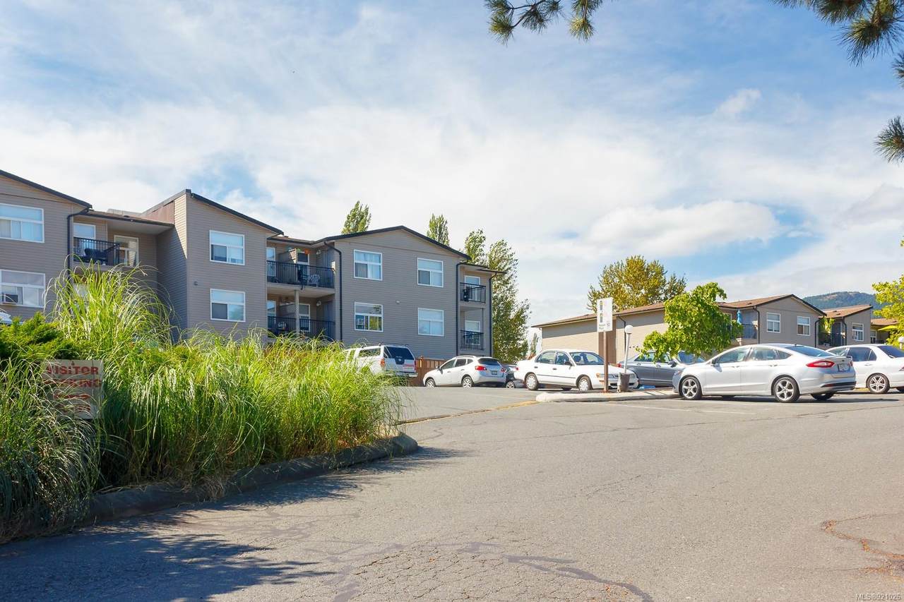 3215 Cowichan Lake Rd - Photo 1