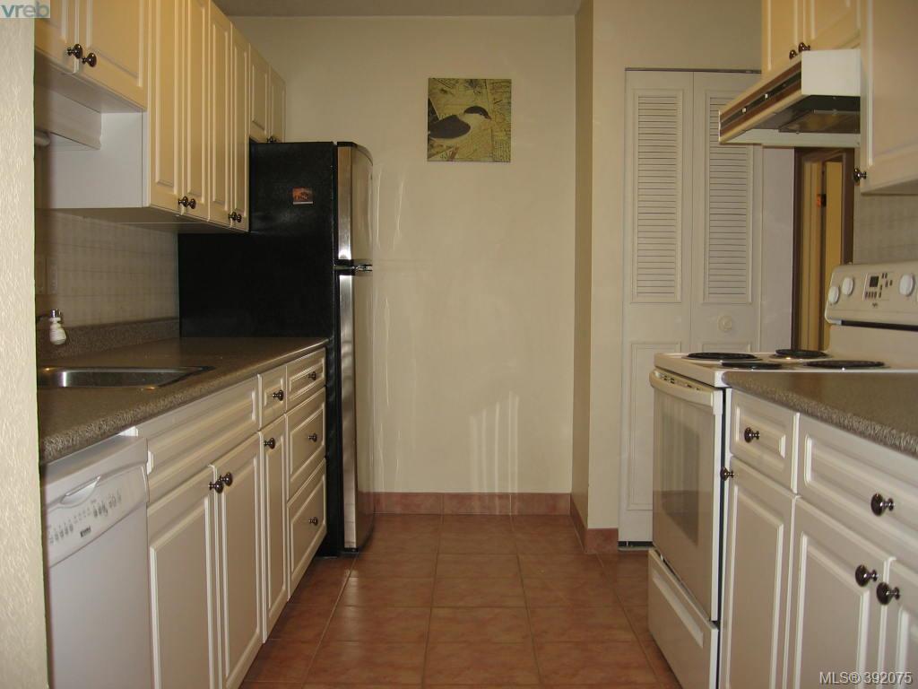 1009 Mckenzie Ave - Photo 1