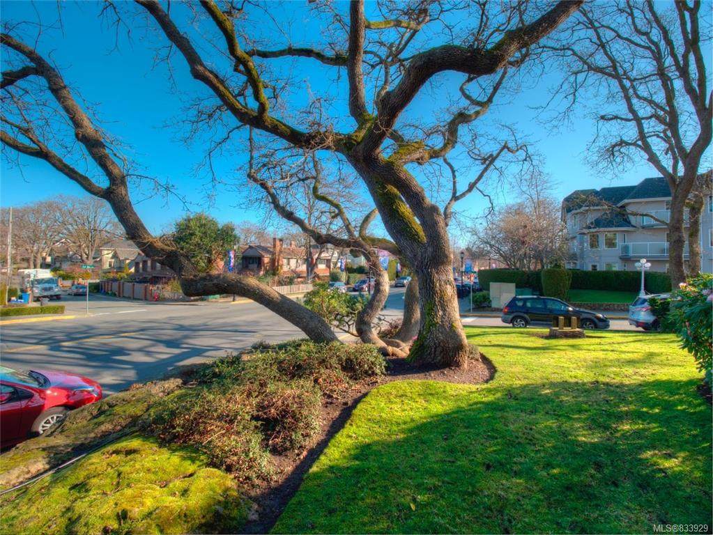 2125 Oak Bay Ave - Photo 1