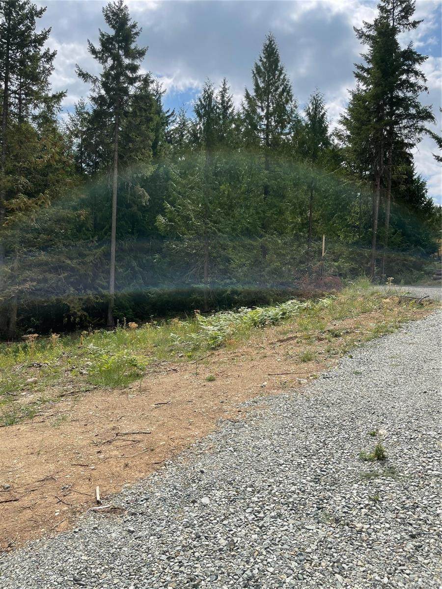Lot B Fairfield Rd - Photo 1
