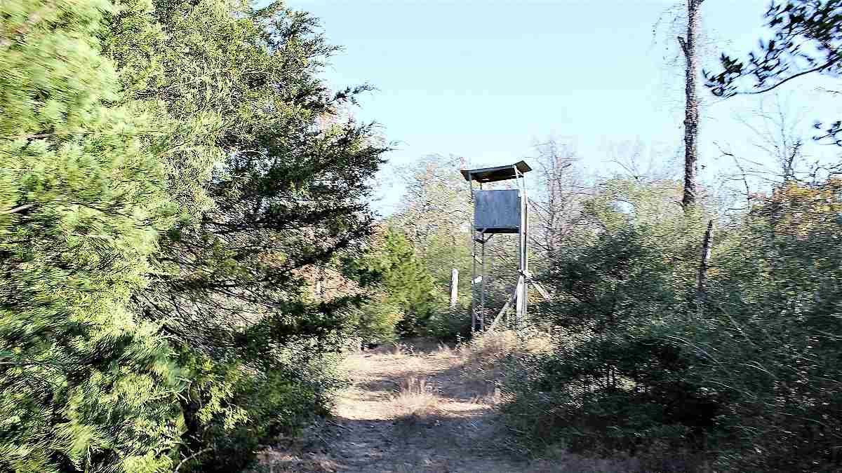 Lcr 794 - Photo 1