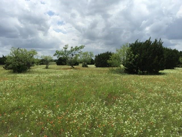 1.5+/- acres Dove Hill Lane - Photo 1