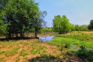 419 Fm 434 - Photo 1