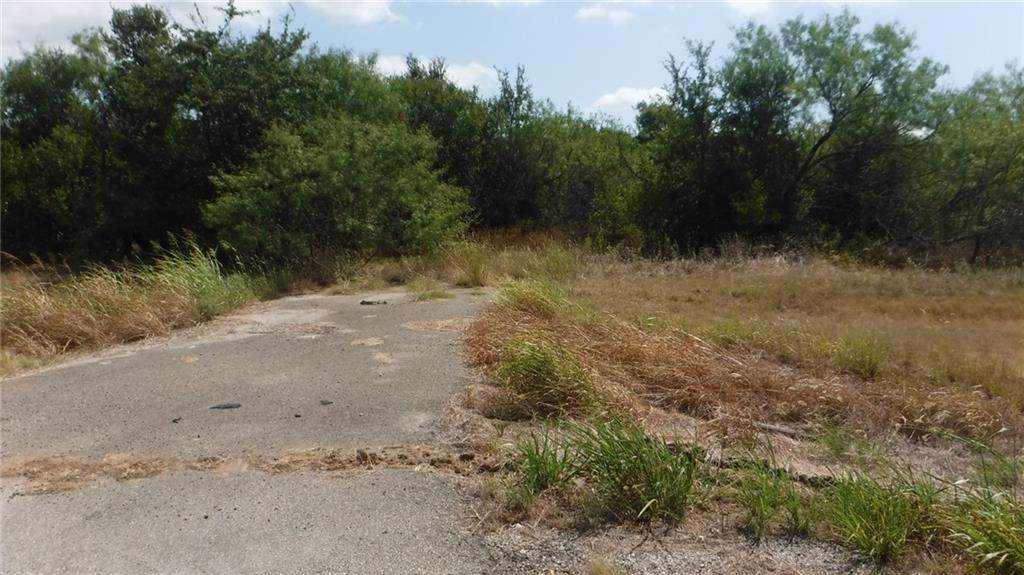 tbd Cr 220 Road - Photo 1