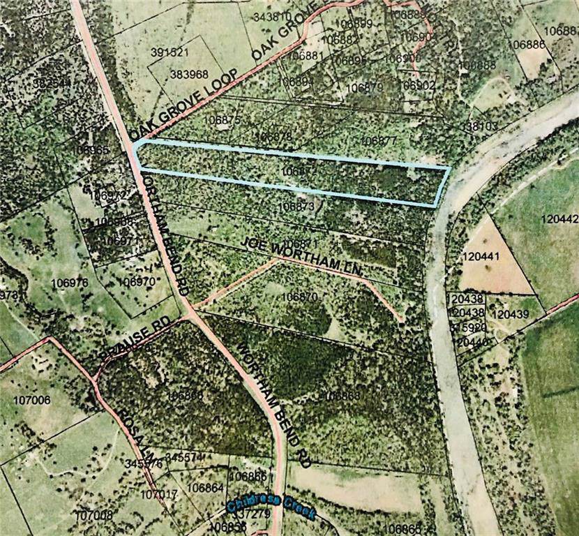 TBD Wortham Bend Road - Photo 1