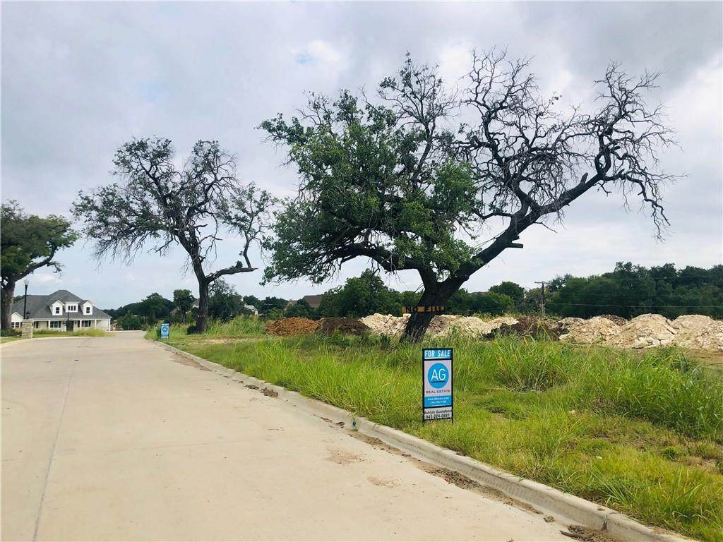 16006 Torrey Springs Boulevard - Photo 1