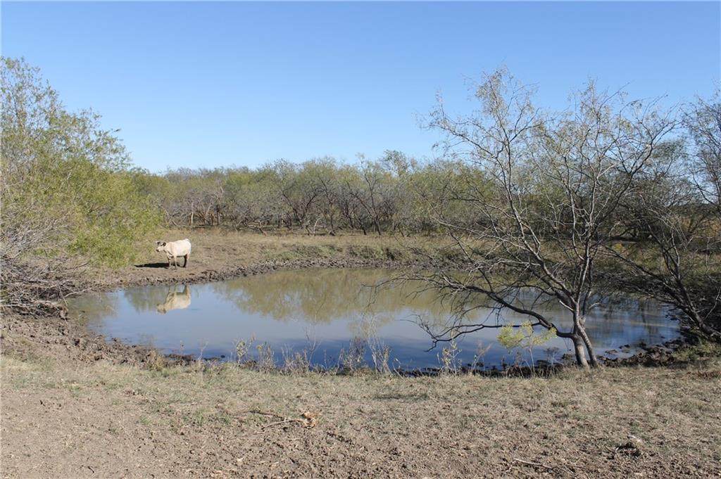 174 Hcr 1150 - Photo 1