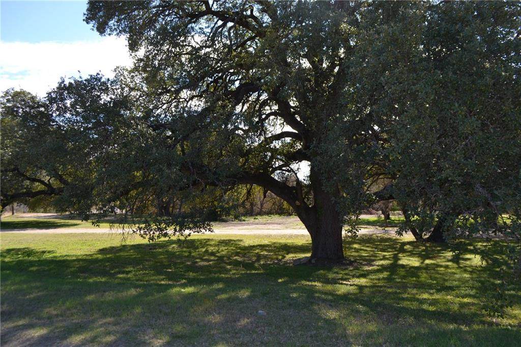 6205 19th Street - Photo 1