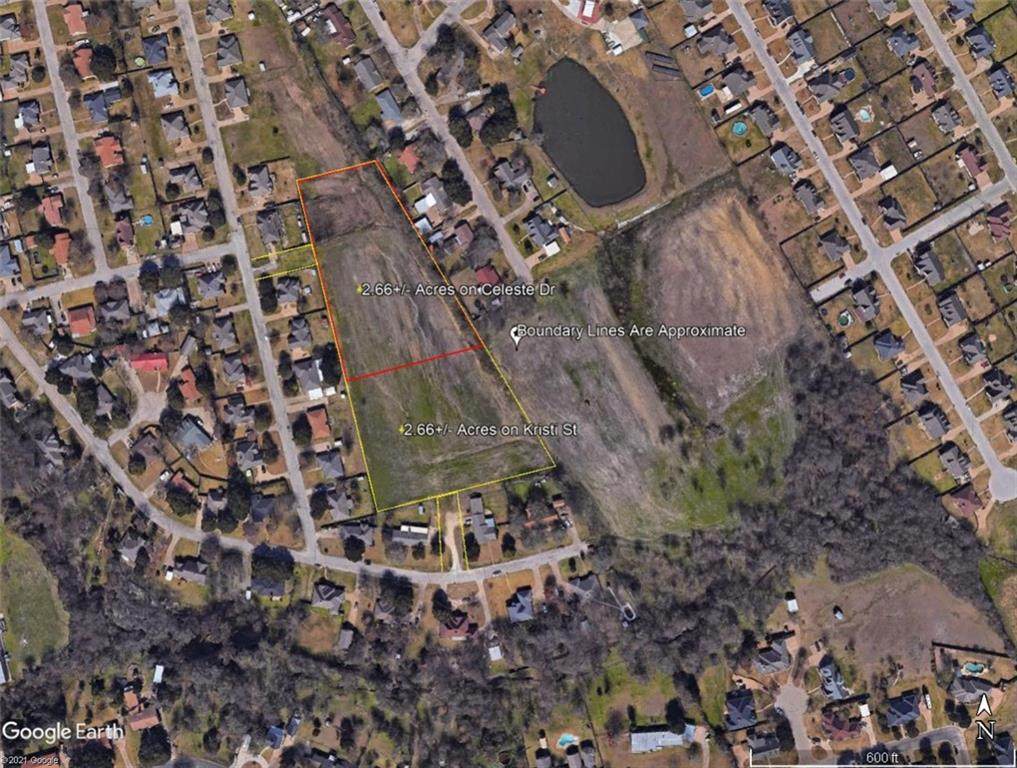 2.66+/- Acres on Celeste Drive - Photo 1