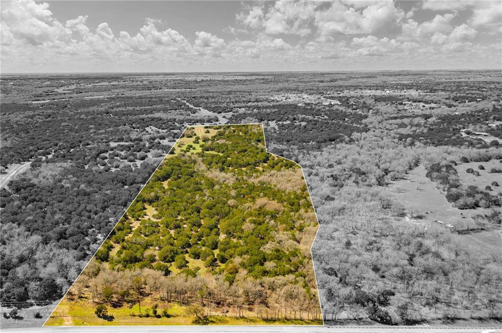 TBD Wortham Bend Road - Photo 1