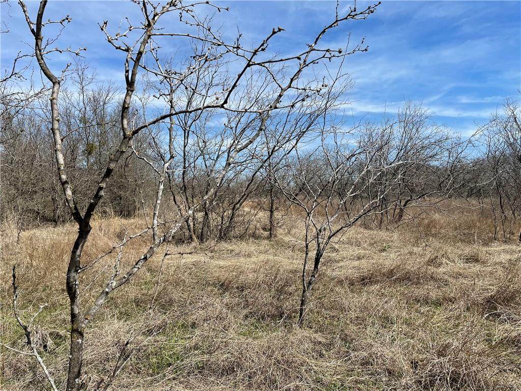 Lot 2 Woodlake Lane - Photo 1