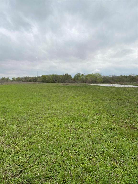 TBD Wildcat Bridge Road - Photo 1