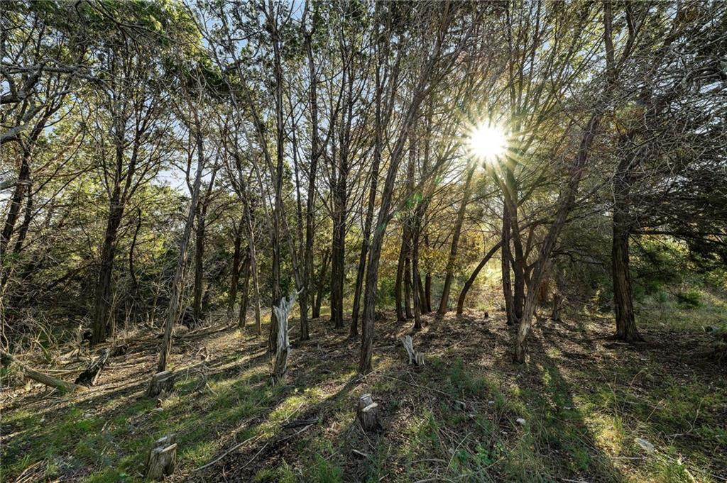360 Lost Hunters Canyon - Photo 1