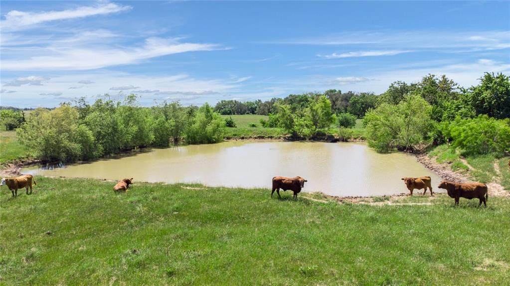 000 Fm 1451 Road - Photo 1