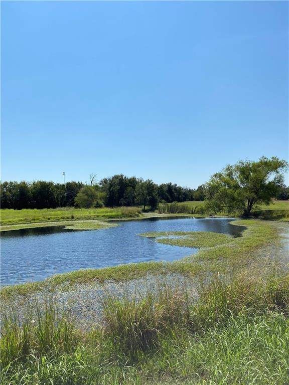 24.722 Acres Bielamowicz Road - Photo 1