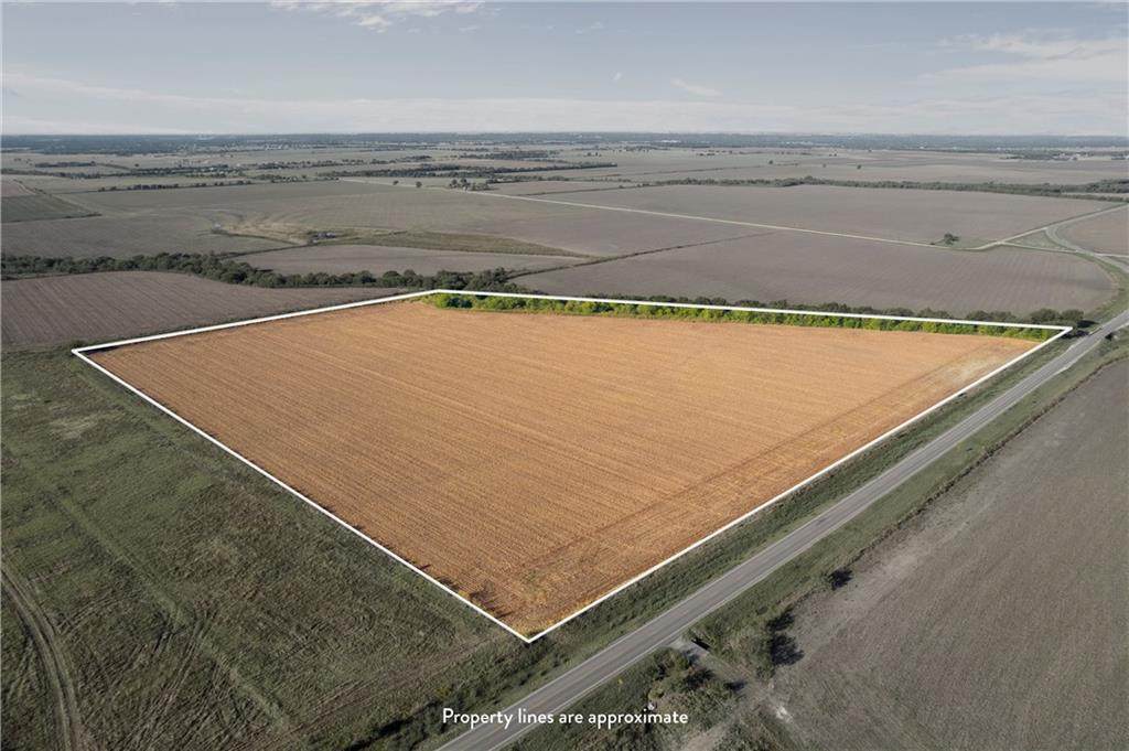 TBD Eddy-Gatesville Parkway - Photo 1