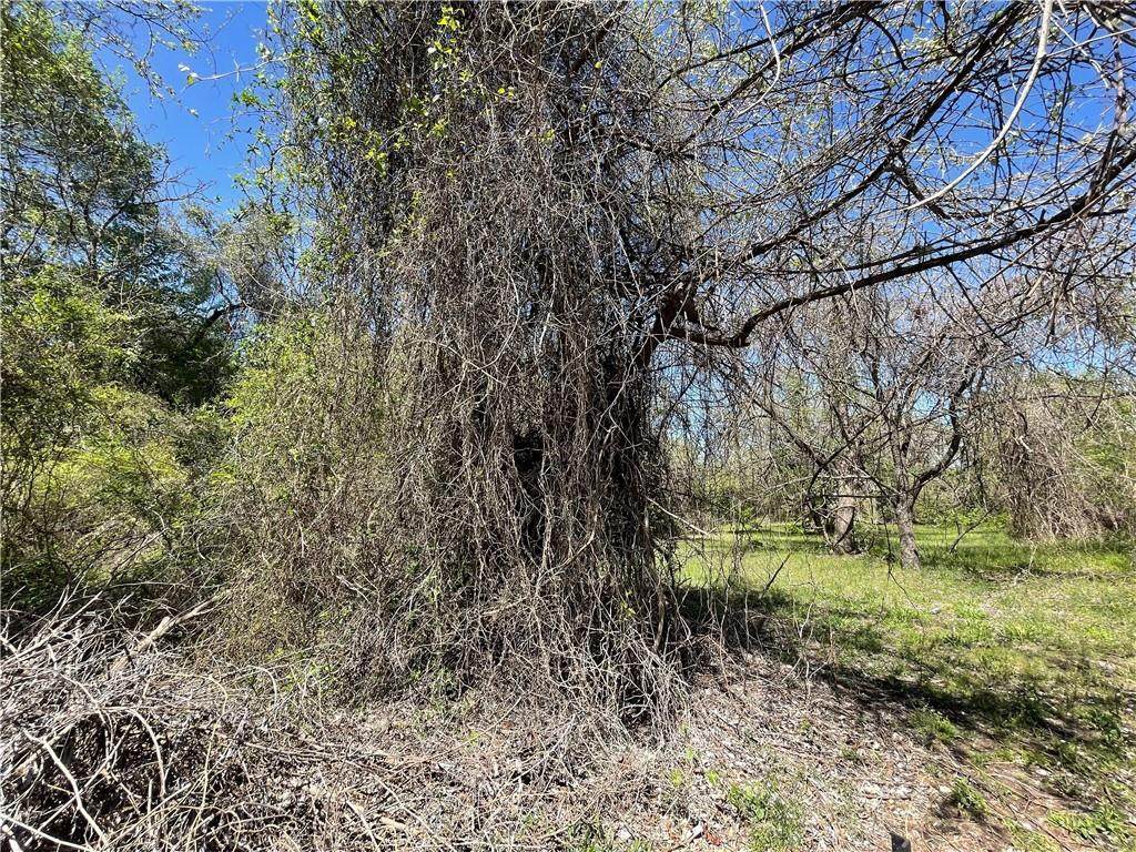 TBD 0.3214 Phillips Street - Photo 1