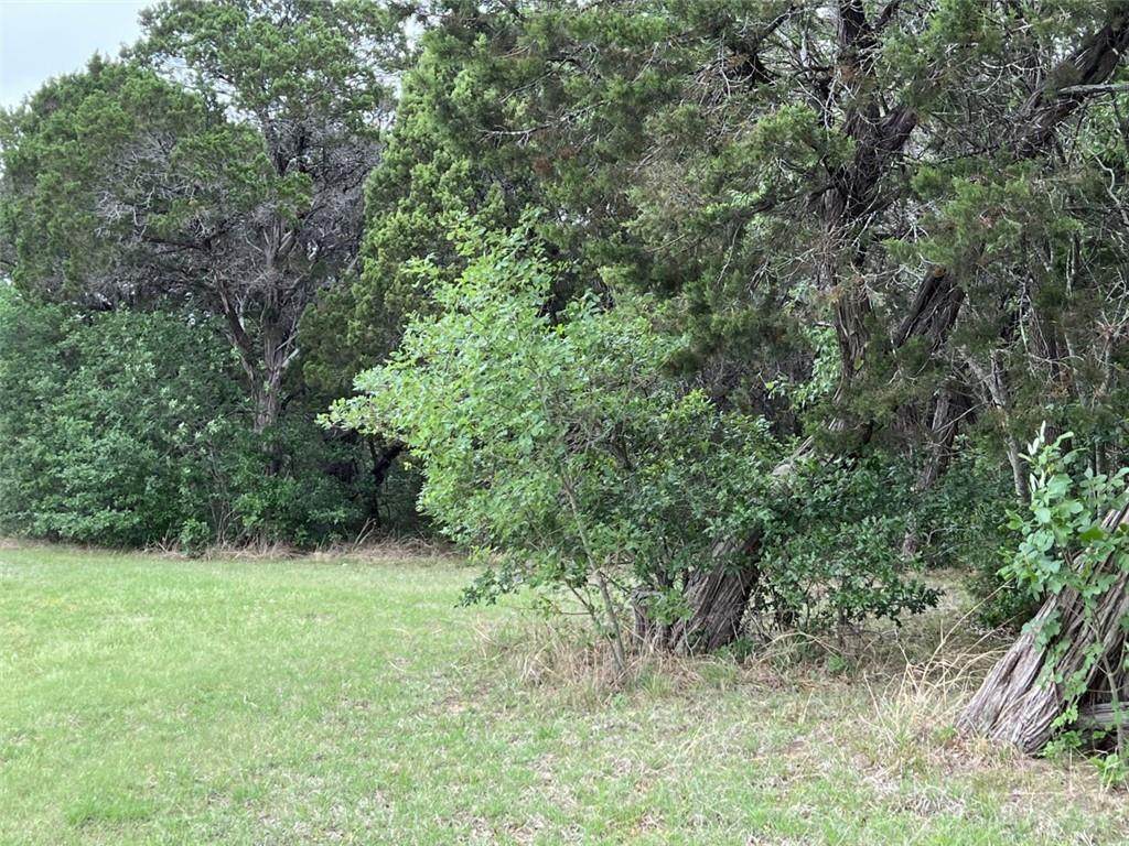 1230 Century Oaks Drive - Photo 1