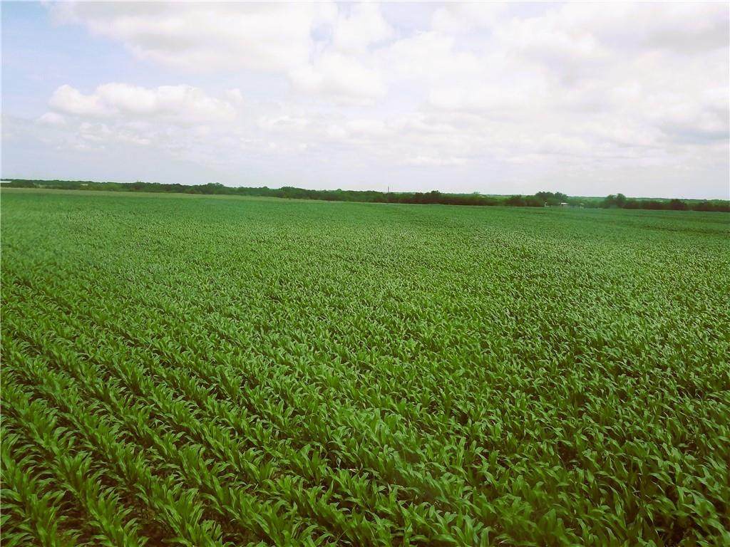 TBD Fm 1243 - Photo 1
