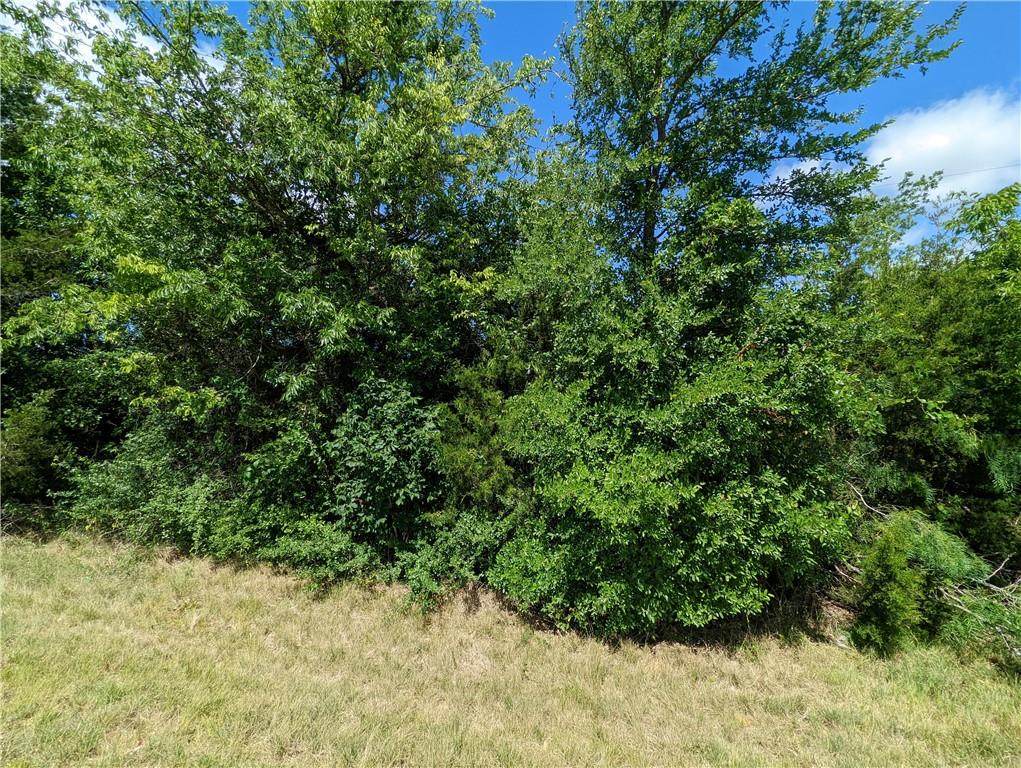 TBD Suzanne Drive - Photo 1