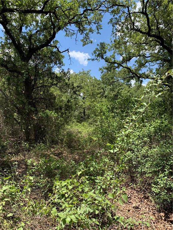 TRACT 1 Hcr 1212 Road - Photo 1