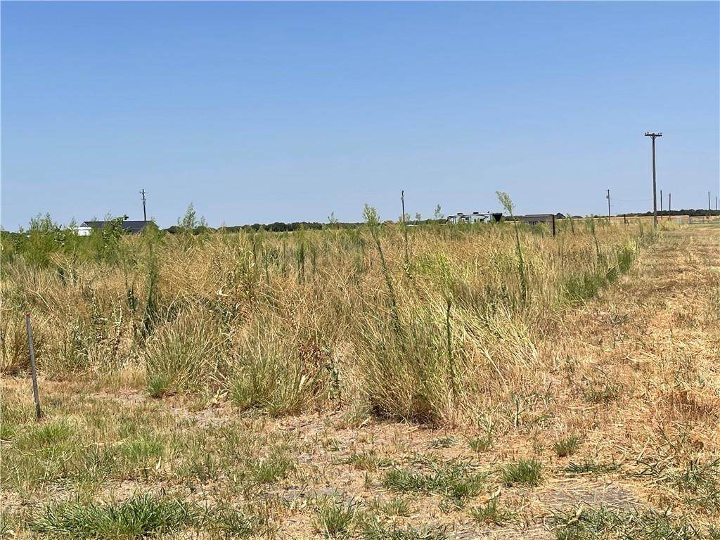 TBD Weinberger Road - Photo 1