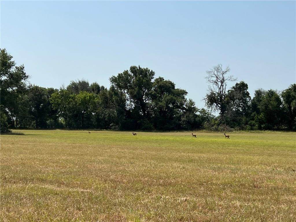 TBD Lcr 771 Road - Photo 1