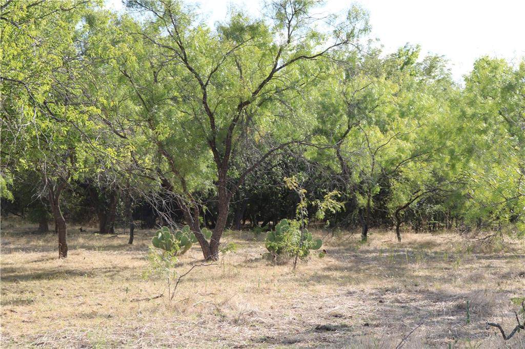TBD Fm 147 Road - Photo 1