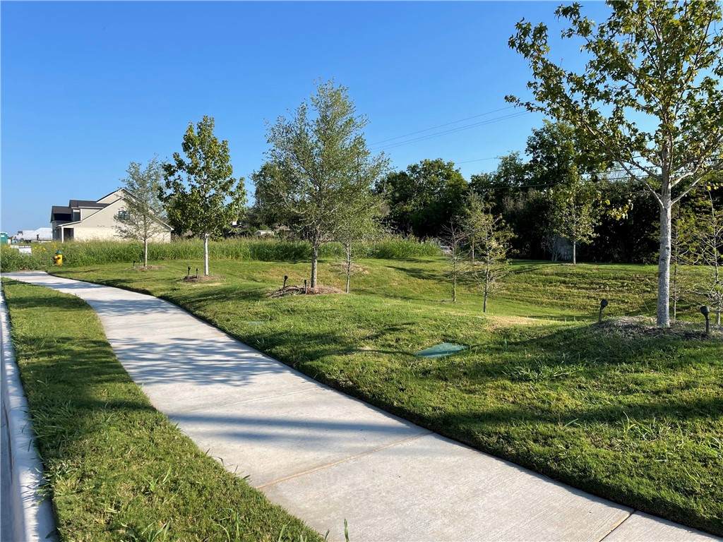 1501 Tranquility Trail - Photo 1