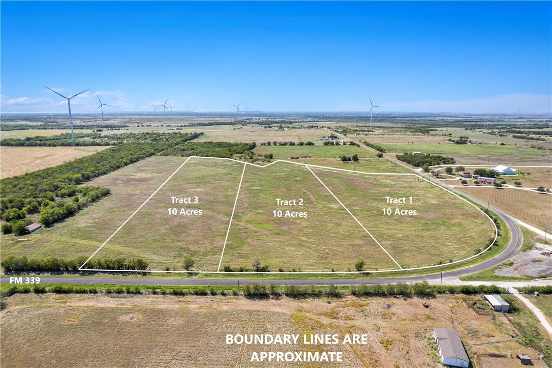 Lot 2 TBD 10 Acres Fm 339 - Photo 1