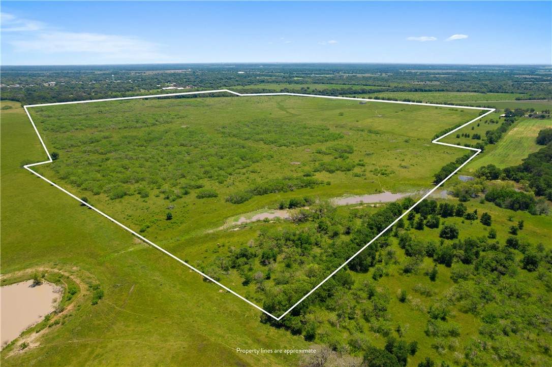 254 Acres Wildcat Bridge Road - Photo 1