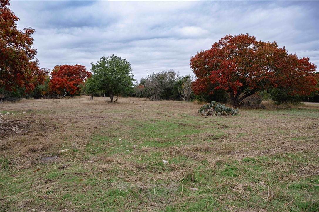 200 Lonesome Dove Street - Photo 1