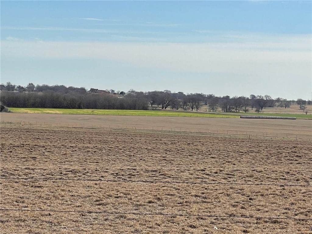 TBD Tract 2 Fm 185 - Photo 1