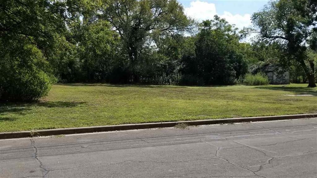 1007 Calhoun Avenue - Photo 1