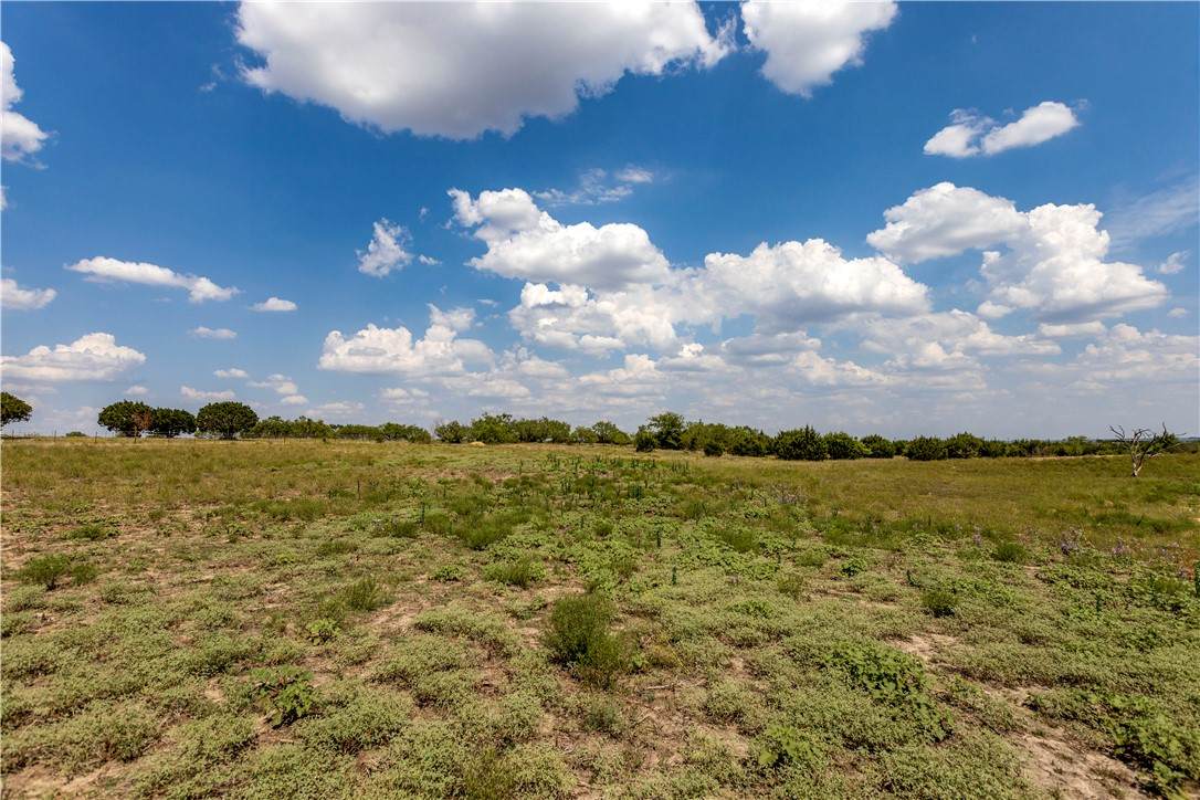 (Tract A) 13.55 Acre Cr 207 Road - Photo 1