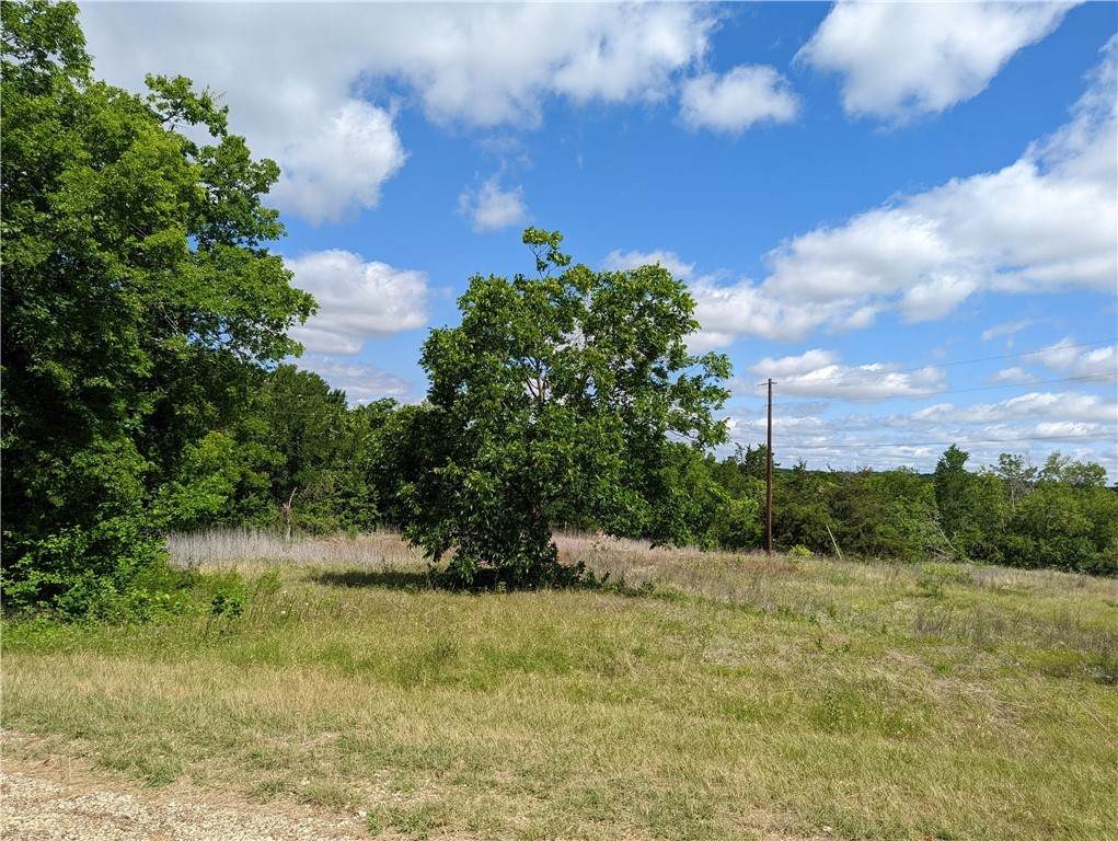 TBD Suzanne Drive - Photo 1