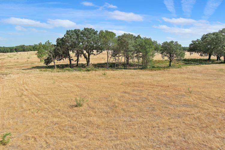 TBD Oak Knoll Lane - Photo 1