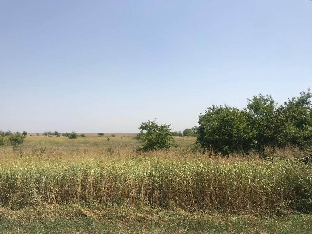 TBD 5 Acres Cr 452 Road - Photo 1