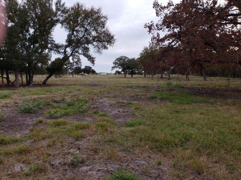 TBD Lcr 610 Road - Photo 1