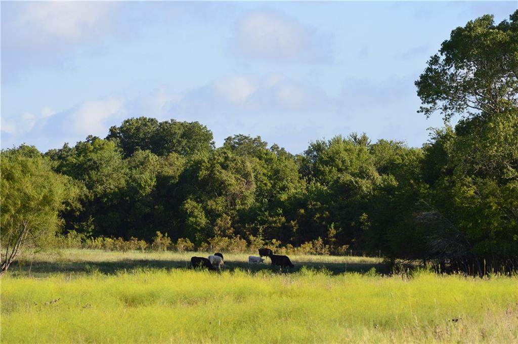 686 Cr 333 Road - Photo 1