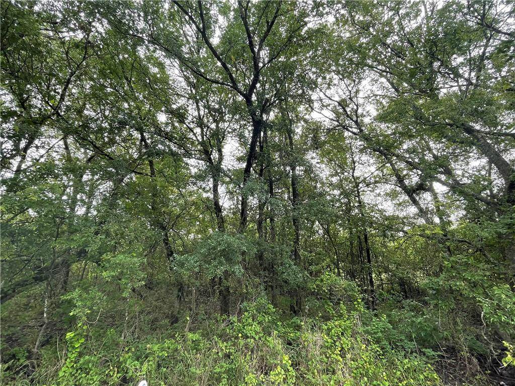 Lot 2 Woodlake Lane - Photo 1
