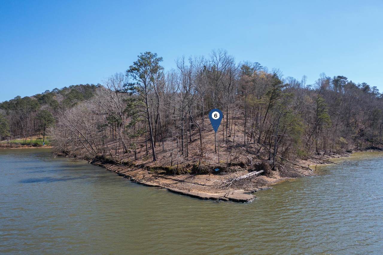 LOT 6 Flat Rock Cove - Photo 1