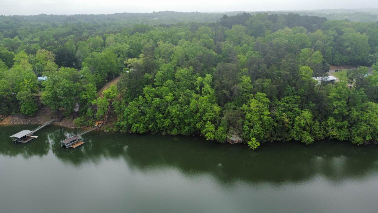 LOT 1 County Road 198 - Photo 1