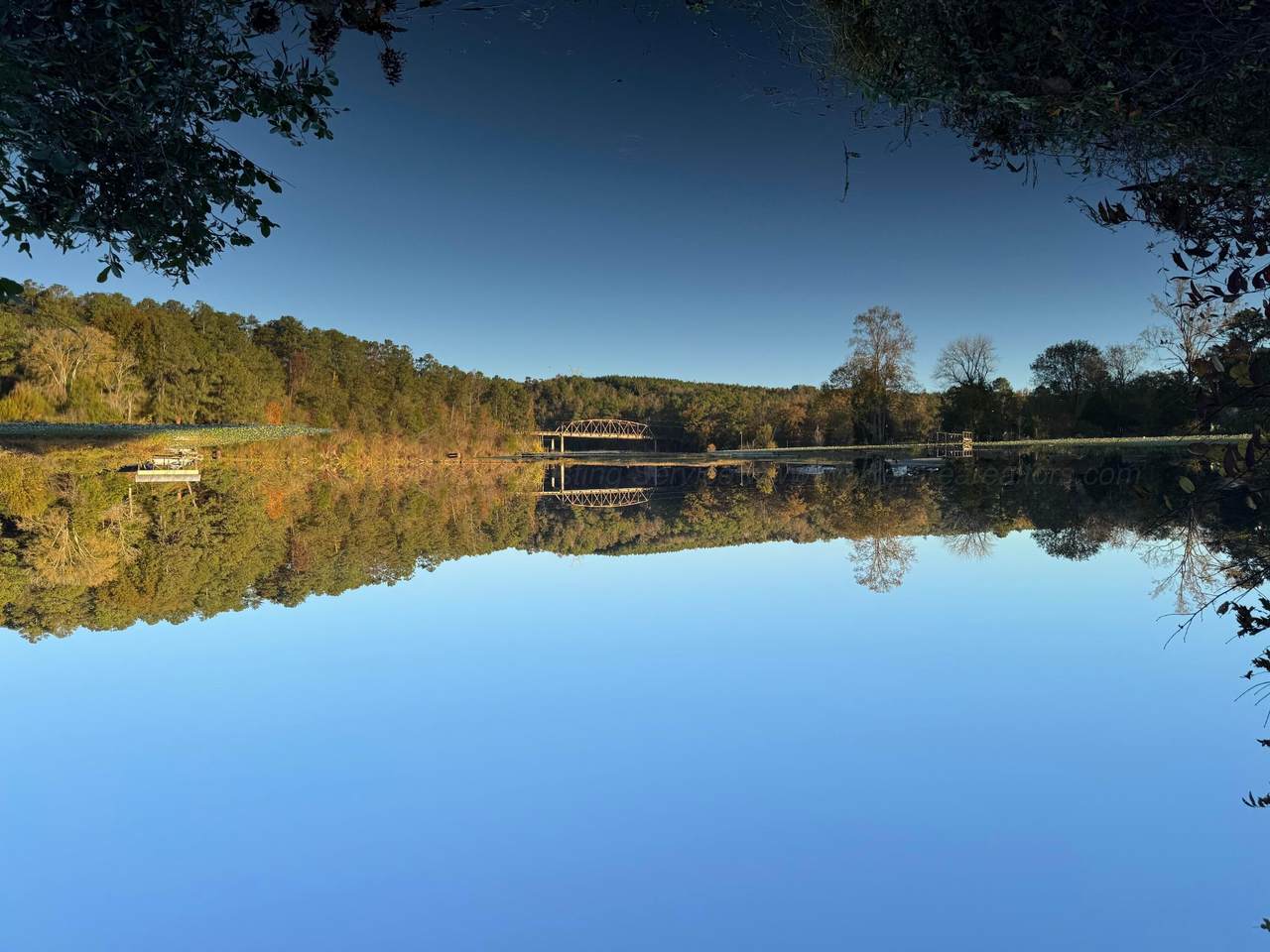 638 Odom Rd - Photo 1