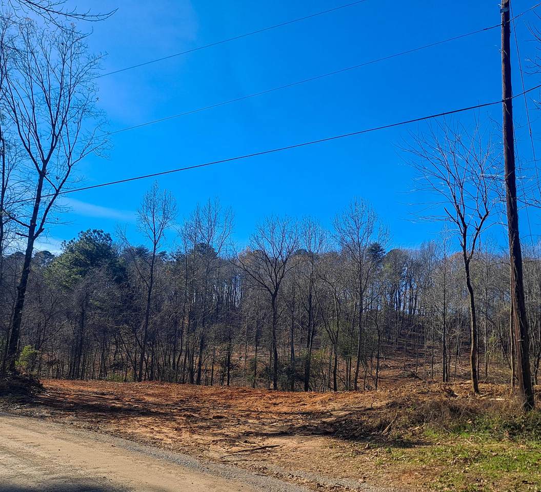  Paul Bolton Rd - Photo 1